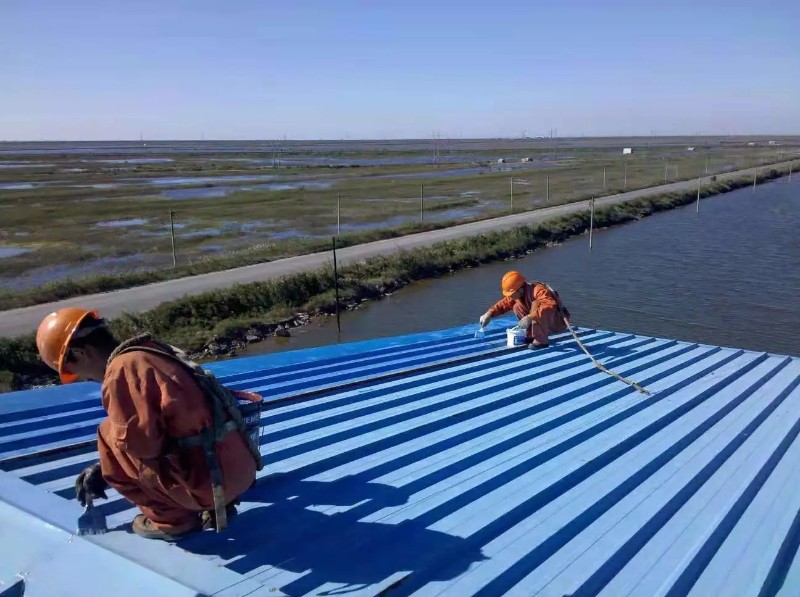 东宝钢结构屋面漏水原因